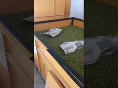 প্রিসুন বেড প্রকারের ভেন্টিলেশন ড্রায়ার